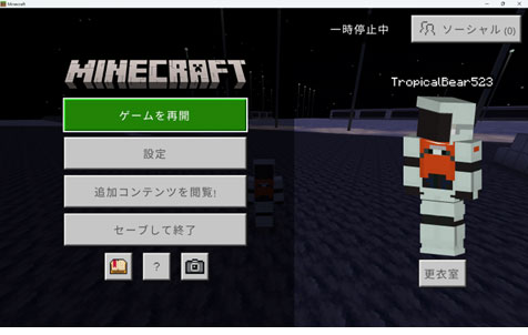 STEP11